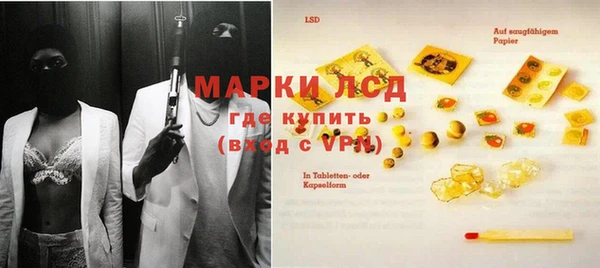 сатива Верея