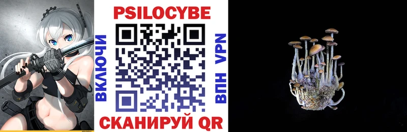 Псилоцибиновые грибы Psilocybe  Заречный 